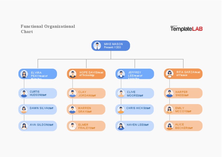 Functional Organizational Chart Template | PDF