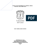 Documentación Del Plan de Saneamiento en La Empresa "Abrego Foods Sas". en El Tambo Cauca.