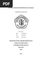 Download LAPORAN PRAKTIKUM FISIOLOGI TANAMAN by Arif Hermanto SN52295639 doc pdf