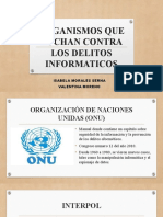 Organismos Que Luchan Contra Los Delitos Informaticos