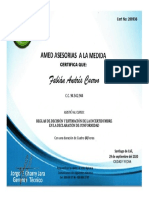 Certificado REGLAS DE DECISIÓN Fabián Andrés Cuervo