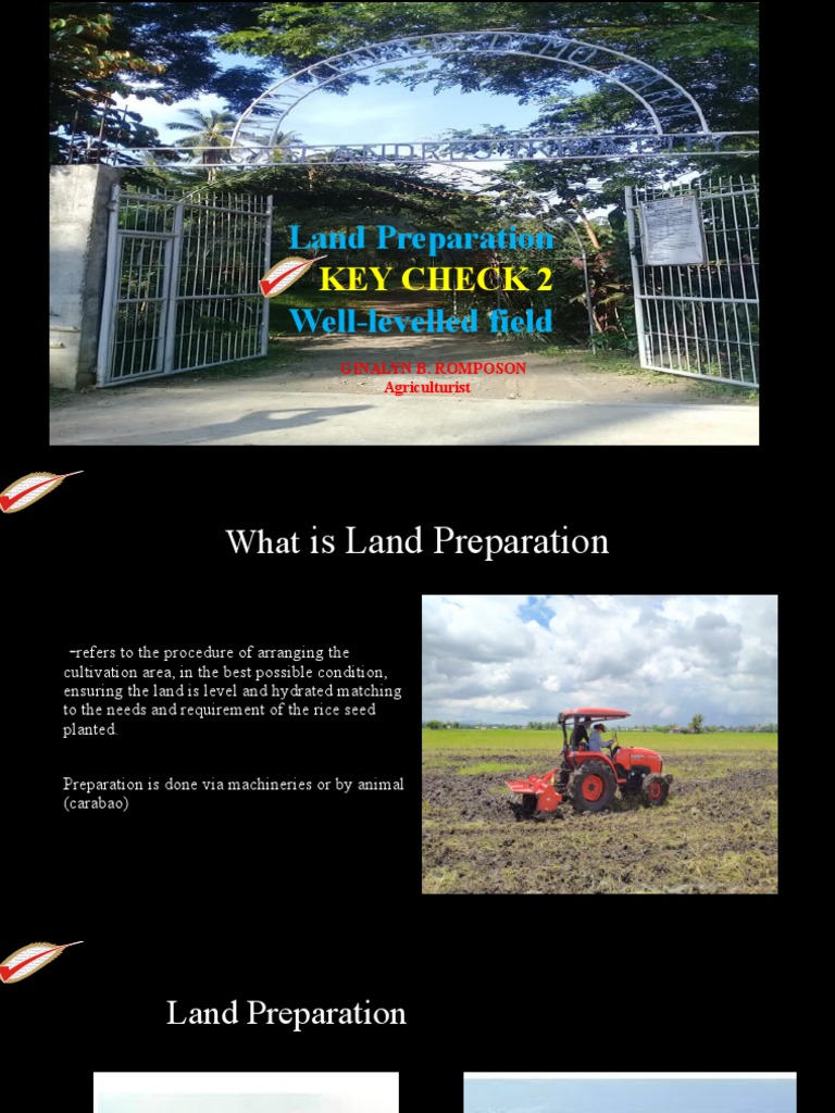 Effective Land Preparation for Rice | PDF | Weed | Rice