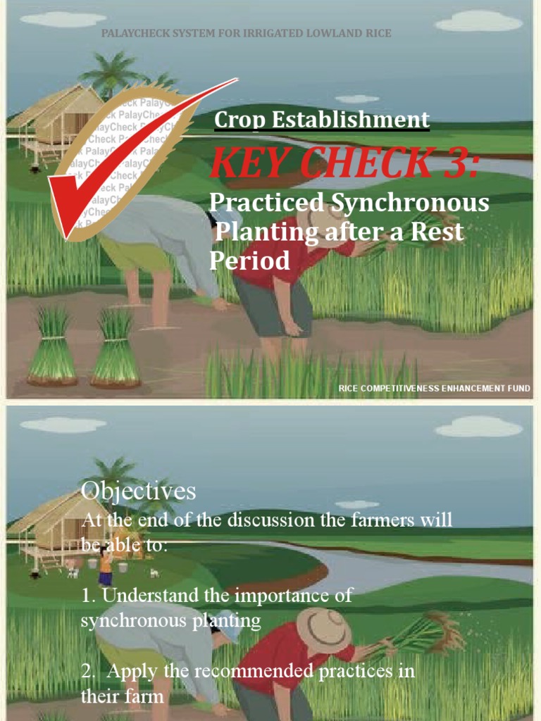 Key Check 3:: Practiced Synchronous Planting After A Rest Period | PDF ...