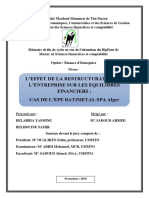 L'effet de La Restructuration de L'entreprise Sur Les Equilibres