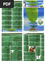 BOLETIM  270 2010 IGREJA BATISTA GETSÊMANI