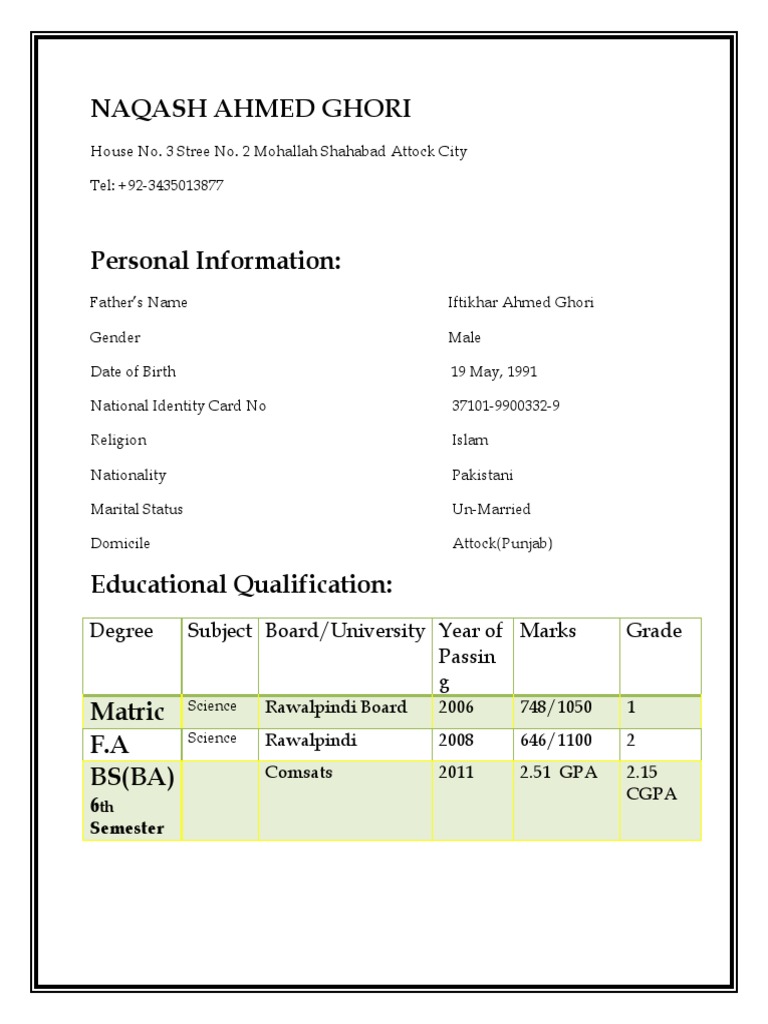CV of Naqash | PDF