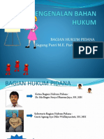 Bagian Hukum Pidana Sagung Putri M.E. Purwani, SH.,MH