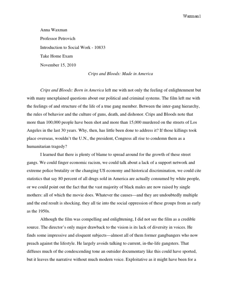 Bloods gang essay picture