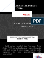 Ventricular Septal Defect