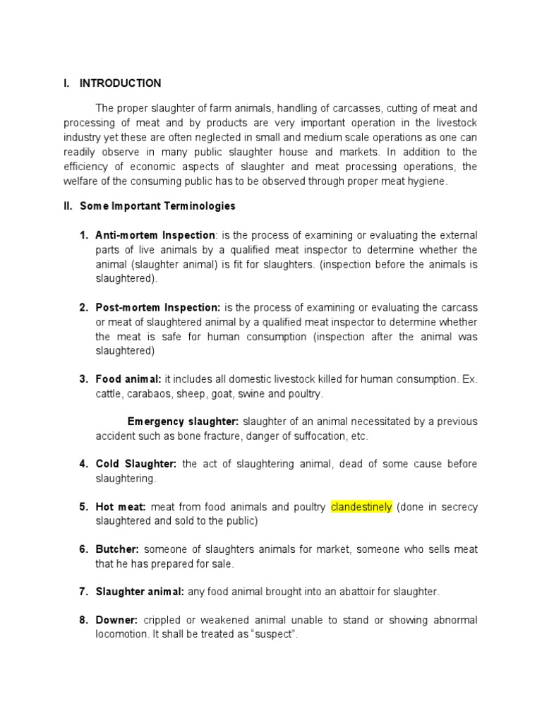 Understanding the Slaughtering Process | PDF | Animal Slaughter | Meat