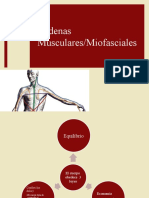 Diapositivas Cadenas Cinéticas