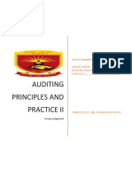 Auditing Principles and Practice Ii