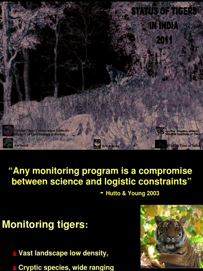 Tiger | PDF | Tiger | Sampling (Statistics)