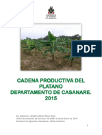 Documento Linea Base Platano 2015 (1)