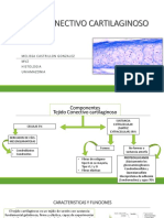 Tejido Conectivo de Sosten