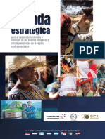 Agenda Estrategica para El Desarrollo Sostenible e Inclusivo de Los Pueblos Indigenas y Afrodescendientes en La Region Centroamericana