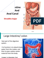 Structure and Function of Large Intestine