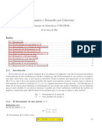 Determinantes y Desarrollo Por Cofactores