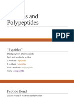 Peptides and Polypeptides: Structure and Properties