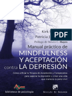 Mindfulness y Aceptacion - Depresion