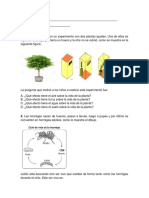 Evaluacion de Naturales Quinto 1