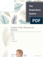 Respiratory System