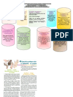 Psicología Del Desarrollo Taller Sensoemotivo 2021-I