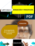 Capítulo 3 - Sensación y Percepción