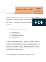 PCI-Perfil de Capacidad Interna (1)