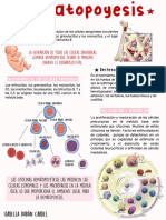 Hematopoyesis