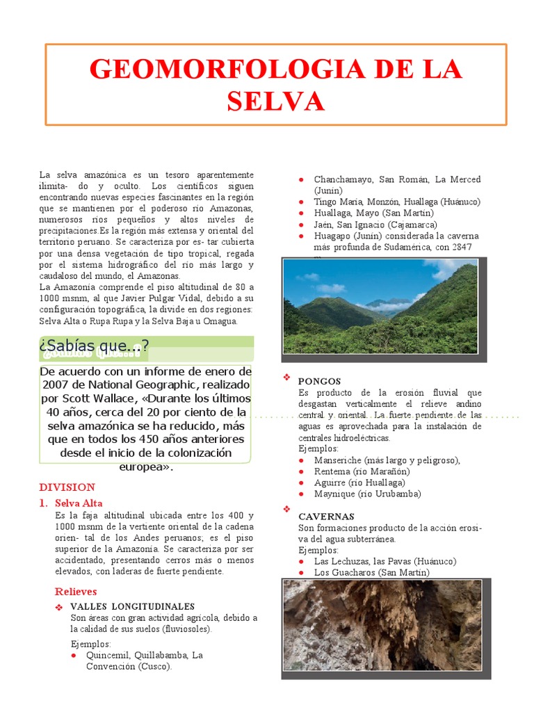Geomorfología de la Selva Peruana | PDF | Deforestación | Los bosques