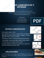 Ácidos Carboxílicos y Ésteres