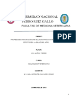 Propiedades Inmunológicas de La Lactancia Materna y Sus Efectos en La Salud Del Niño-Liza Muñoz