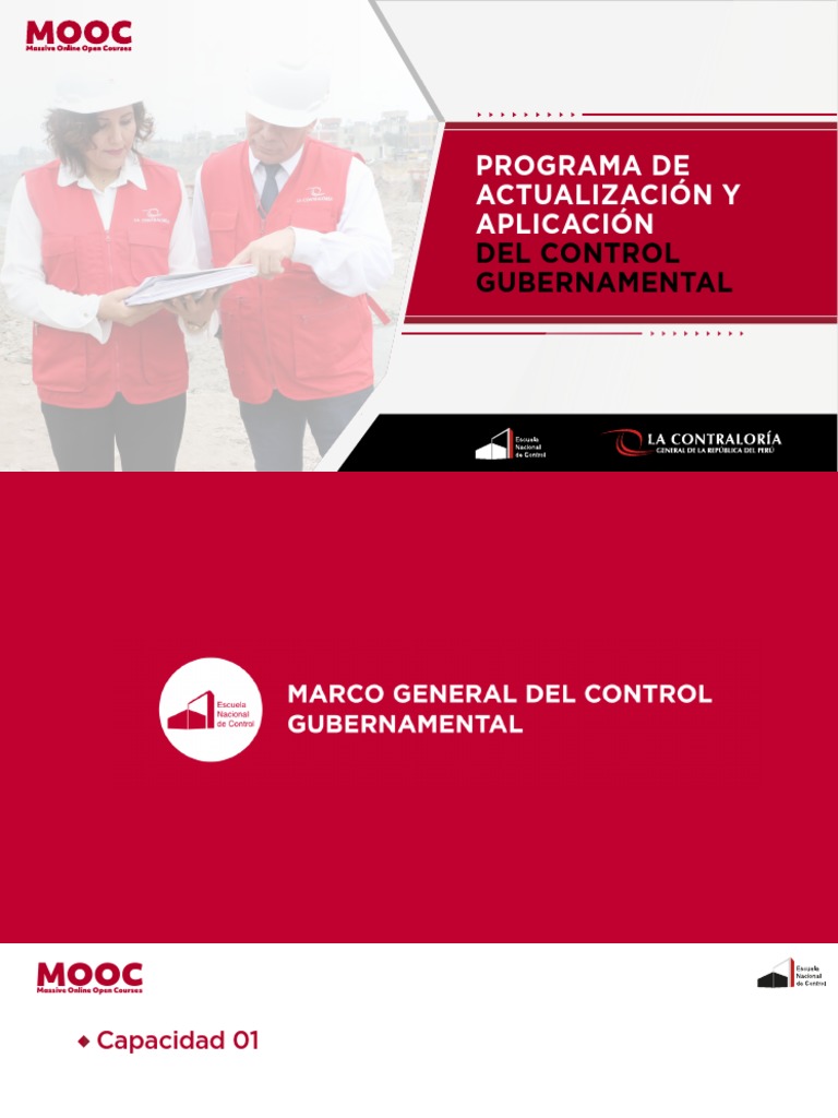 Marco General Del Control Gubernamental | PDF | Auditoría | Planificación