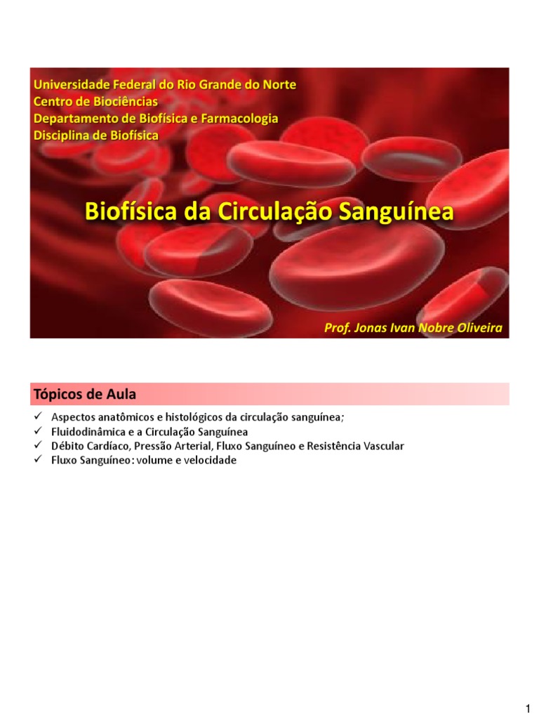 Aula Circulação Sanguínea Pdf Sistema Circulatório Artéria