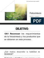 Fotosíntesis: proceso, elementos y productos en