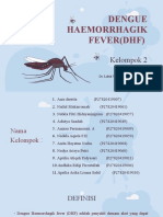 Kelompok 2 - (DHF) Dengue Haemorrhagik Fever