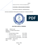 Grupo 1º-Anatomia Genital Femenina Resumen