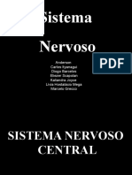 Sistema Nervoso