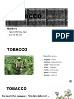 Tobacco 2