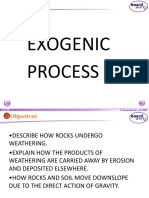 Exogenic Process & Weathering