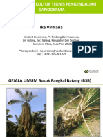 Pengendalian Ganoderma dengan Kultur Teknis pada Replanting Kelapa Sawit