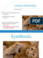 Ecology Symbiosis