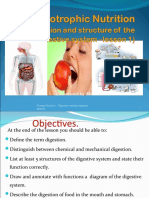 Presented By:ms P. Brooks: (Human Nutrition - Digestion and The Digestive System) 1