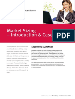Market Sizing - Introduction & Case Studies: Executive Summary