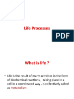 Life processes in organisms