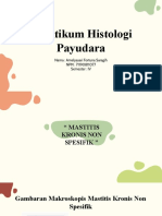 Praktikum Histologi Payudara Oleh Amelyasari Fortuna