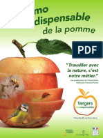 Memo Pomme