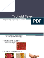 Typhoid Fever: Prepared By: Joycemay G. Andaya