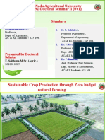 ZBNF Crop Production through Natural Farming Practices